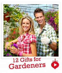 gardeners