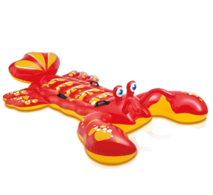 Pool Toys