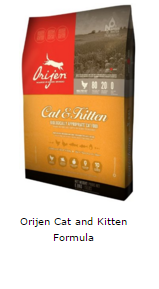 catfooddispensersreviews