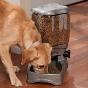 pet feeder