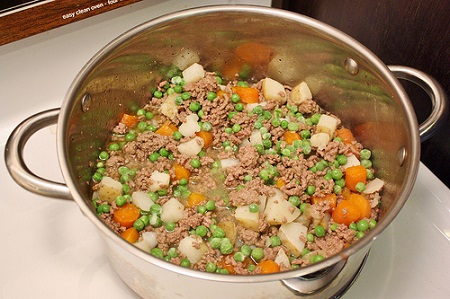 beef stew for dogs