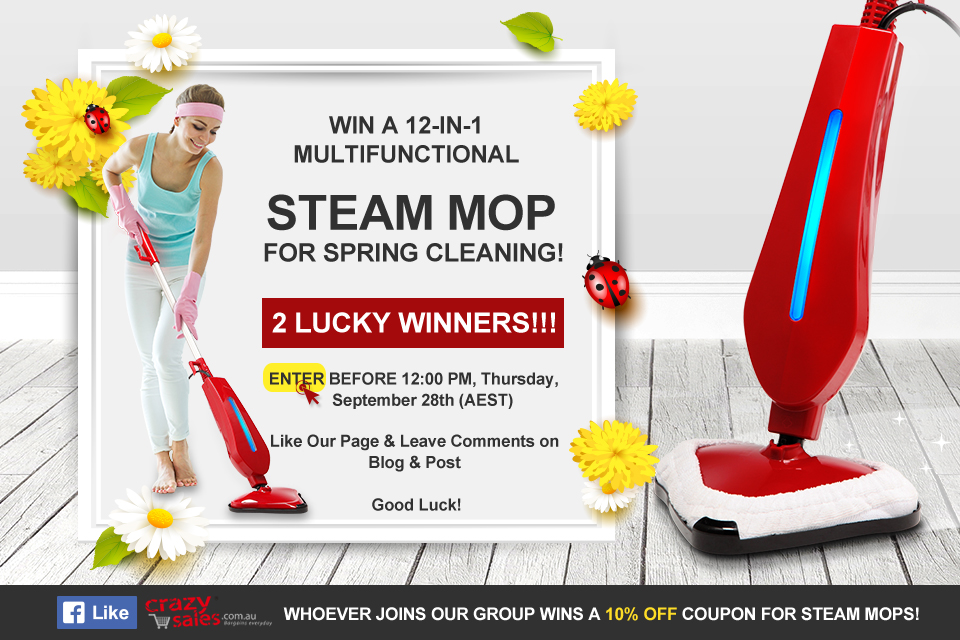 2017 Steam Mop Giveaway Terms and Conditions