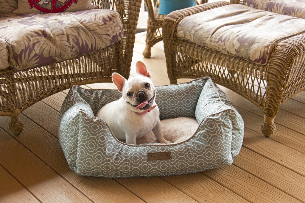 The Best Dog Bed Buying Guide How to Choose the Perfect