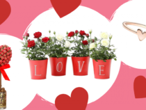Celebrate the Most Romantic Day with Top 11 Unique Valentine’s Day Gifts 2022
