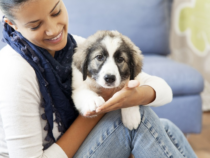 EOFY Sale 2025 | Winter Energy-Saving Gear to Keep You and Your Pets Warm at CrazySales
