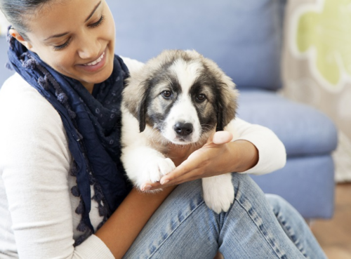 EOFY Sale 2025 | Winter Energy-Saving Gear to Keep You and Your Pets Warm at CrazySales