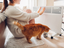 Top-selling 10 Winter Clearance Sales of 2025 | Save Big on Heaters for House, Car and Pet