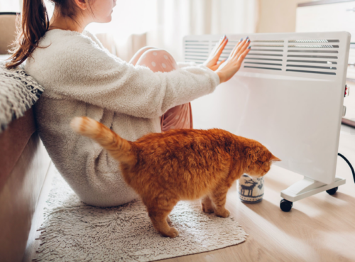 Top-selling 10 Winter Clearance Sales of 2025 | Save Big on Heaters for House, Car and Pet